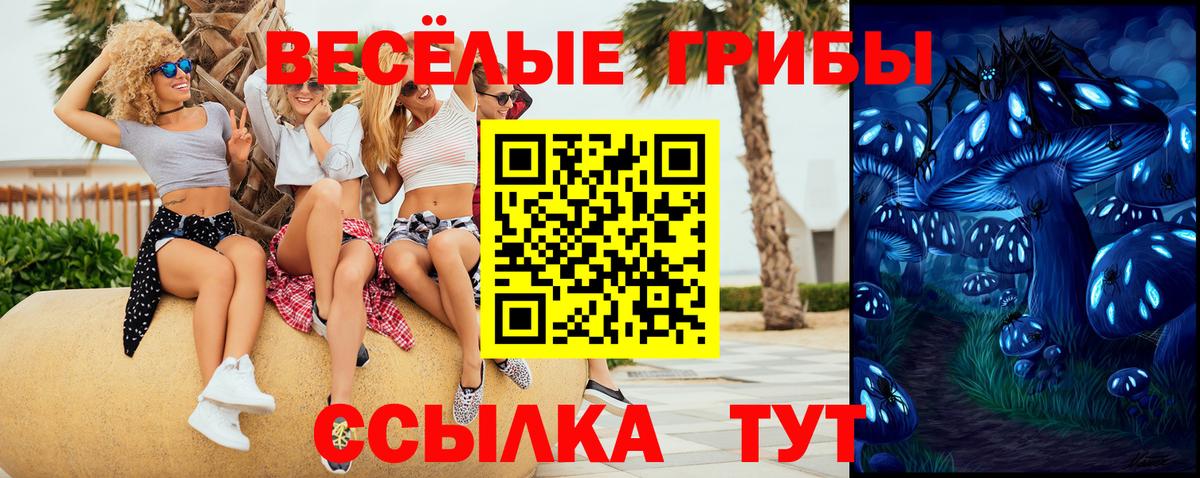 Галлюциногенные грибы мухоморы Красный Сулин