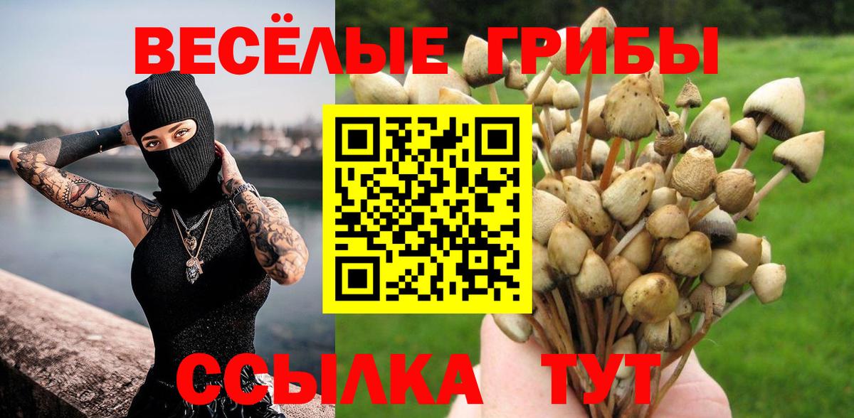 Галлюциногенные грибы мухоморы  Вход с VPN  Красный Сулин 